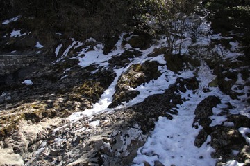 IMG_0845.JPG