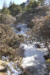 IMG_0958.JPG