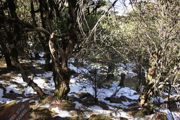 IMG_0851.JPG