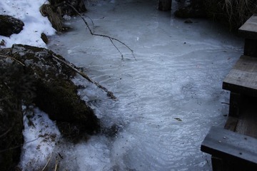 IMG_0853.JPG