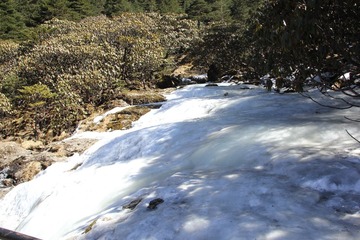 IMG_0974.JPG