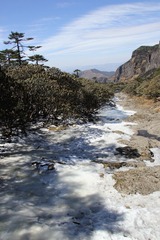 IMG_0976.JPG