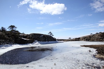 IMG_1209.JPG
