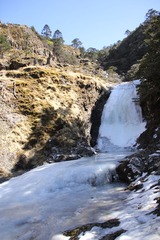 IMG_0911.JPG