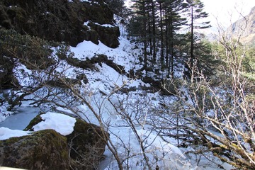 IMG_0993.JPG