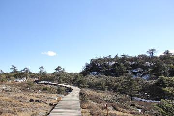 IMG_1238.JPG