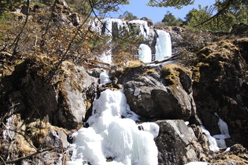IMG_1006.JPG