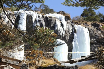IMG_1007.JPG