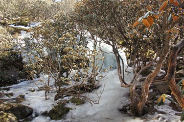 IMG_1294.JPG