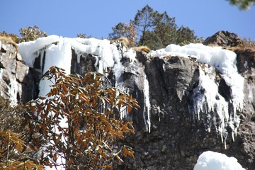 IMG_1013.JPG