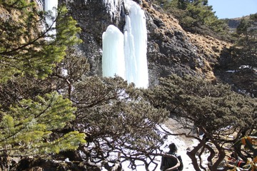 IMG_1018.JPG