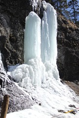 IMG_1020.JPG