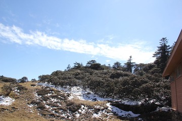 IMG_1084.JPG