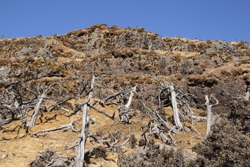 IMG_1229.JPG