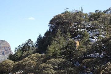 IMG_1246.JPG