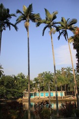 IMG_1518.JPG