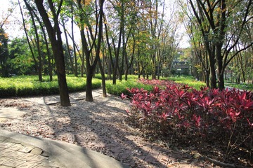 IMG_1563.JPG