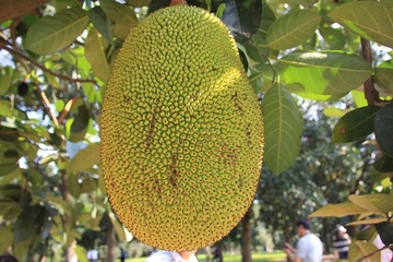 IMG_1625.JPG