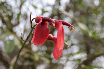IMG_1813.JPG