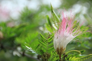 IMG_1822.JPG
