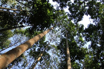 IMG_1858.JPG