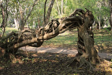 IMG_1877.JPG