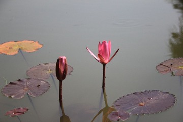 IMG_1913.JPG