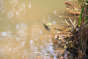 IMG_1922.JPG