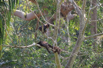 IMG_1925.JPG