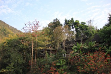 IMG_2027.JPG
