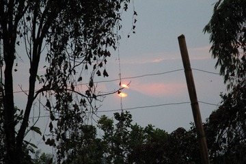 IMG_2615.JPG