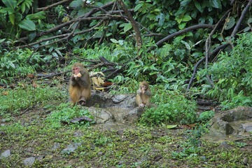 IMG_2142.JPG