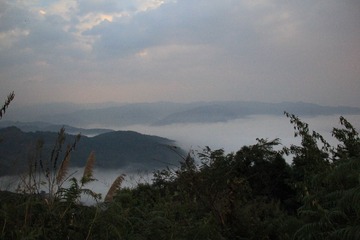 IMG_2626.JPG