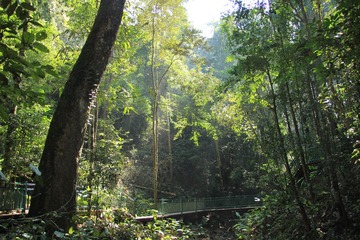 IMG_2179.JPG