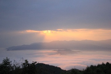 IMG_2655.JPG