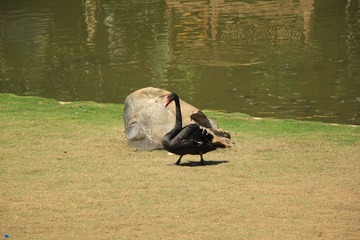 IMG_2202.JPG