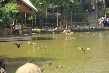 IMG_2316.JPG