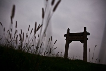 _MG_7689.jpg