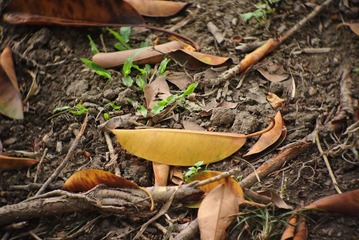 DSC_0676.JPG