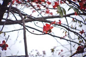 DSC_0721.JPG