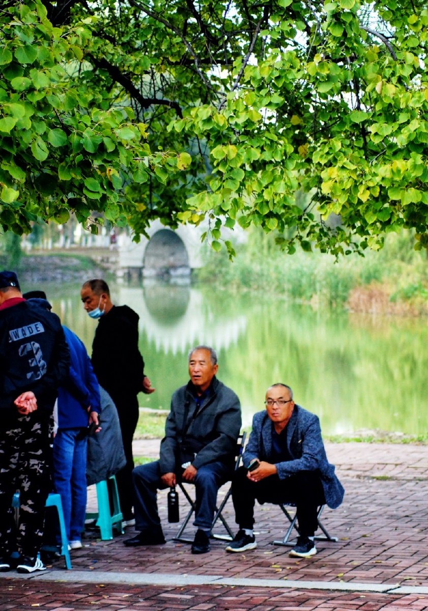 公园里老来乐跳舞的弹弦拉曲的卖呆的打盹的观棋不语的好一派夕阳暖暖