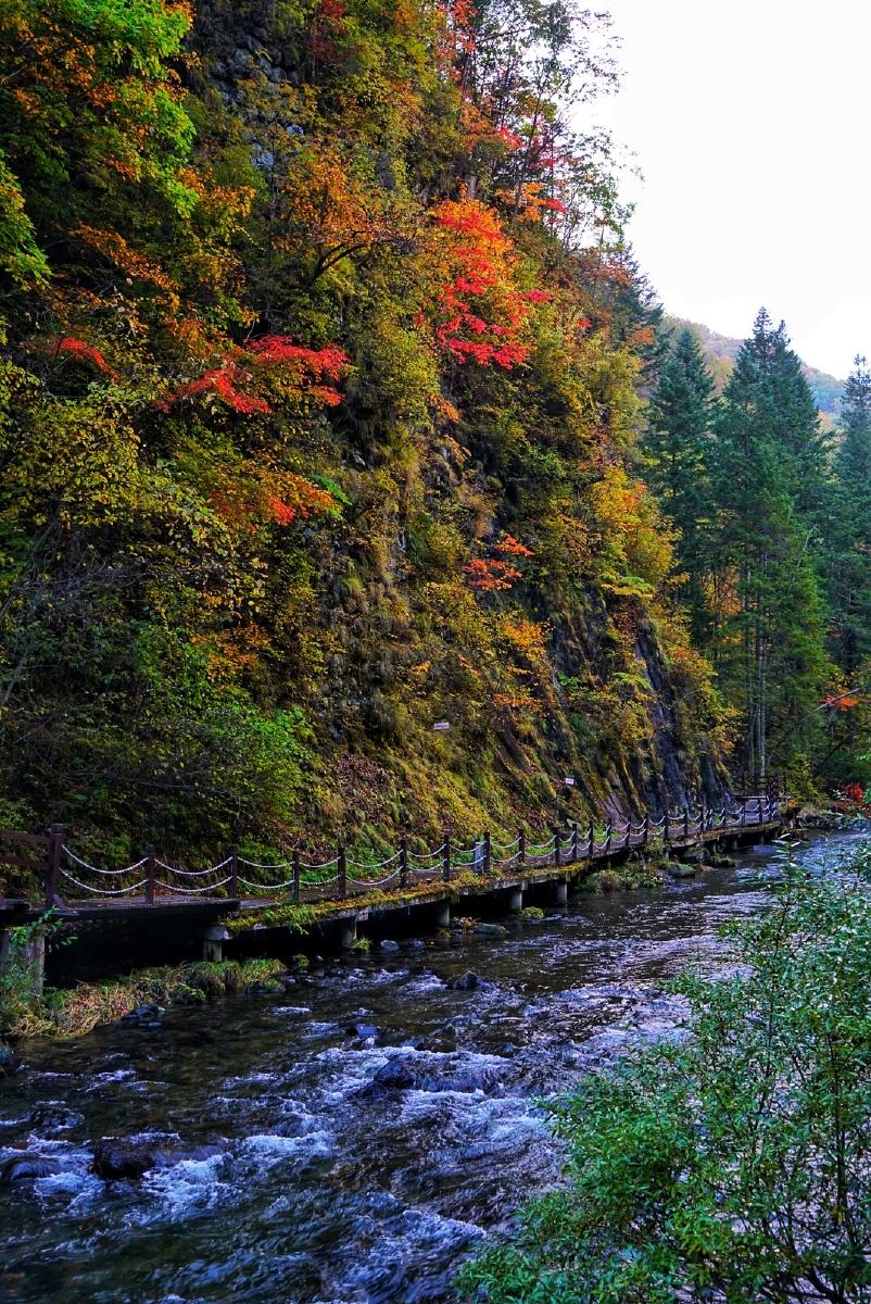 望天鹅风景区的秋天