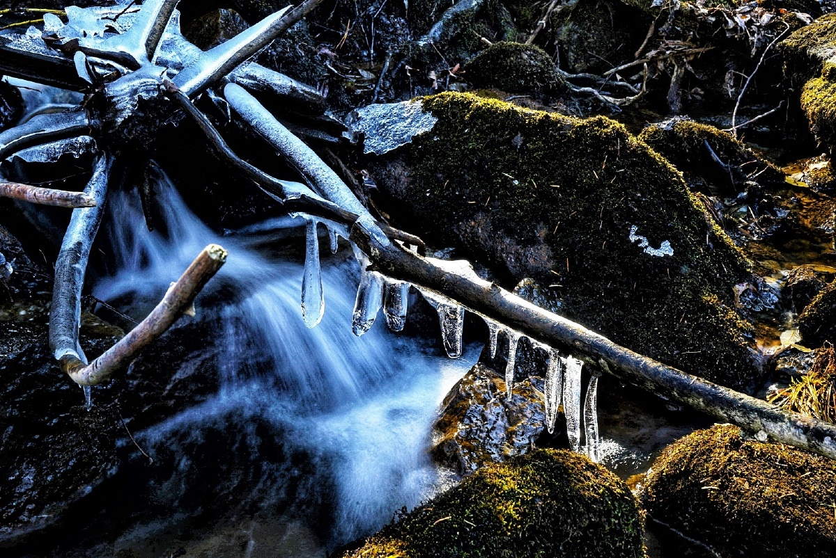 今日打卡冰湖沟林间溪水真结冰