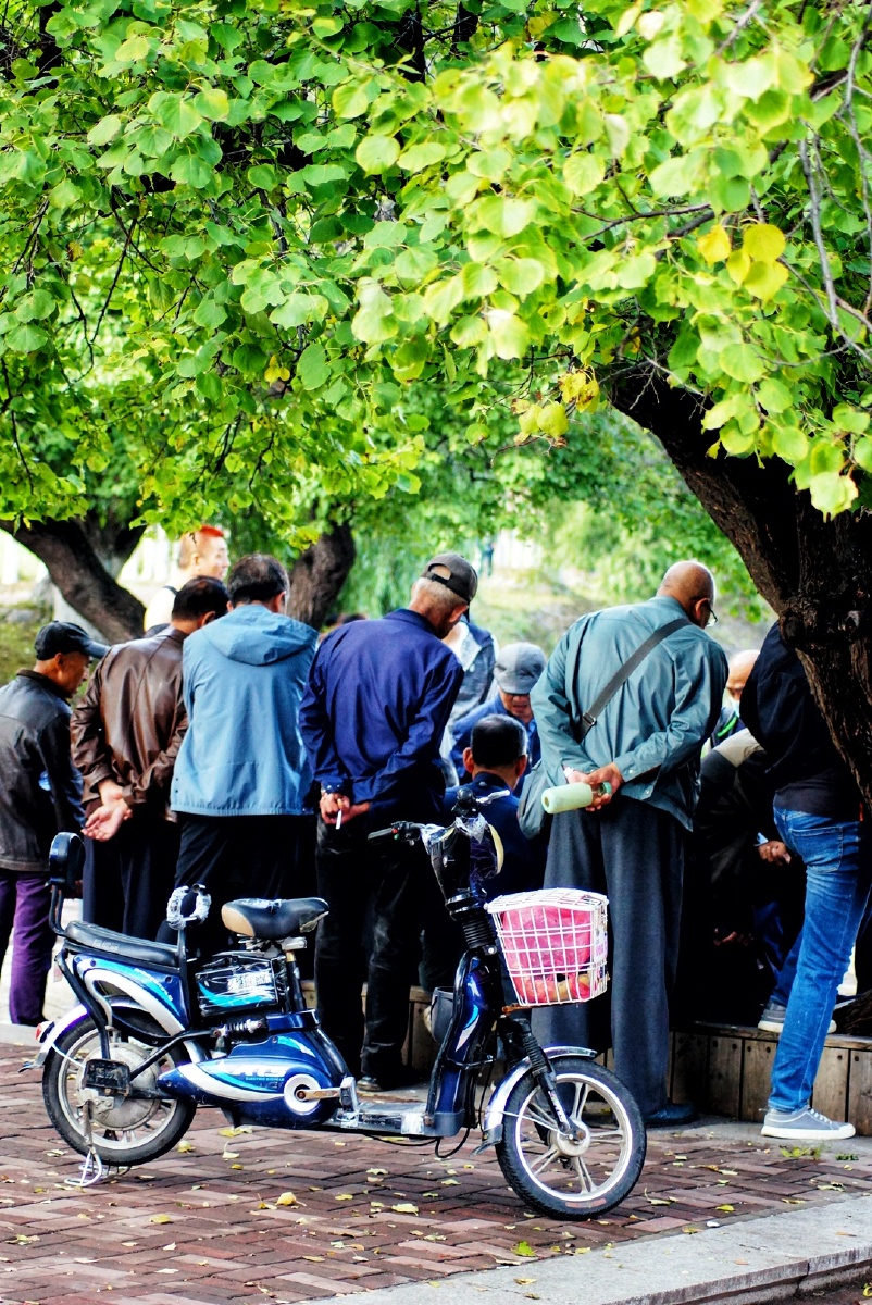 公园里老来乐跳舞的弹弦拉曲的卖呆的打盹的观棋不语的好一派夕阳暖暖