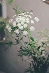 833CF089-7E06-4F92-A5B0-973288529CDC/L0/001