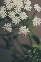 3E5D658B-E30D-4FD6-BD13-EF541A8BBEA3/L0/001