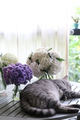 F10300B4-0CC7-4F80-8978-DC053512CF1F/L0/001