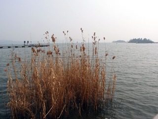 P2130803.JPG