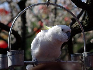 IMGP1457.JPG