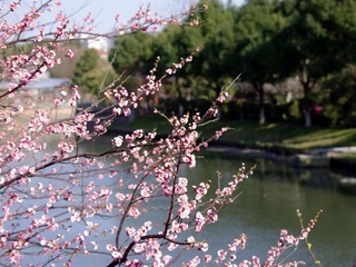 IMGP1499.JPG